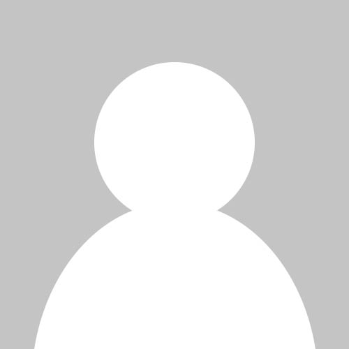 Profile picture for Ann Donnelly